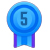 level 5