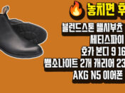 🔥 놓치면 후회! 블런드스톤 첼시부츠 16만, 세티스파이 15%, 호카 본디 9 16.5만, 쌤소나이트 2개 캐리어 23.5만, AKG N5 이어폰 14만